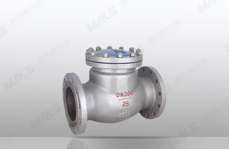 铸钢旋启式止回阀