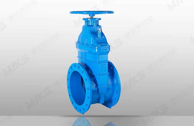 大口径弹性座封闸阀