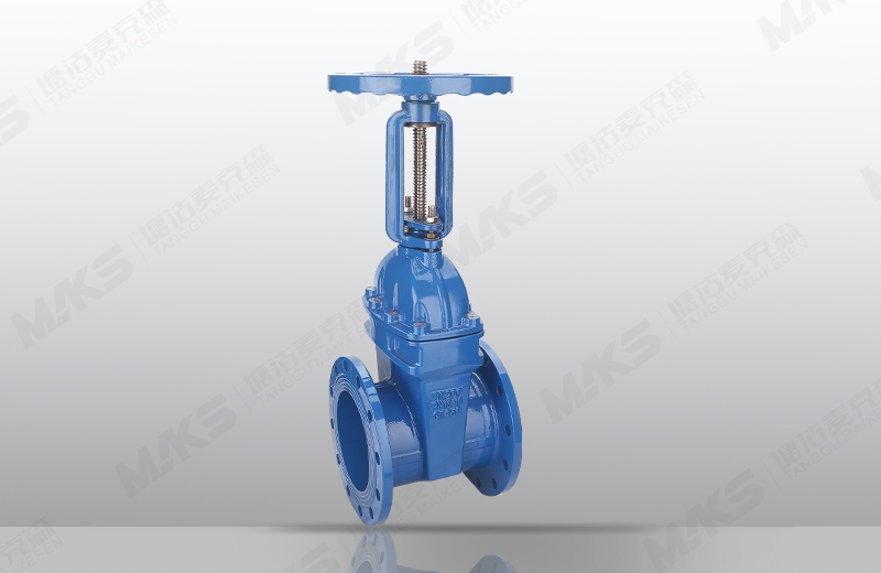 软密封明杆闸阀